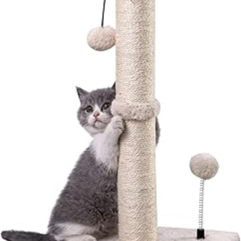 MECOOL Cat Scratching Post Premium Basics Kitten Scratcher