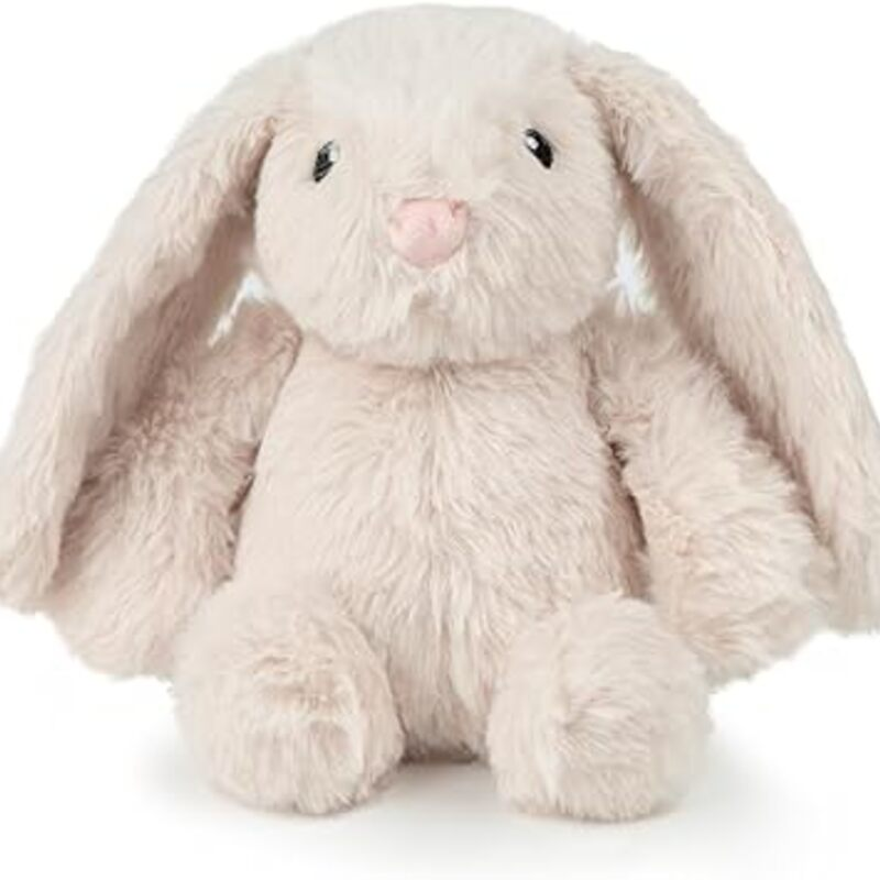 Best Pet Supplies Interactive Squeaky Dog Chew Toy, Ideal