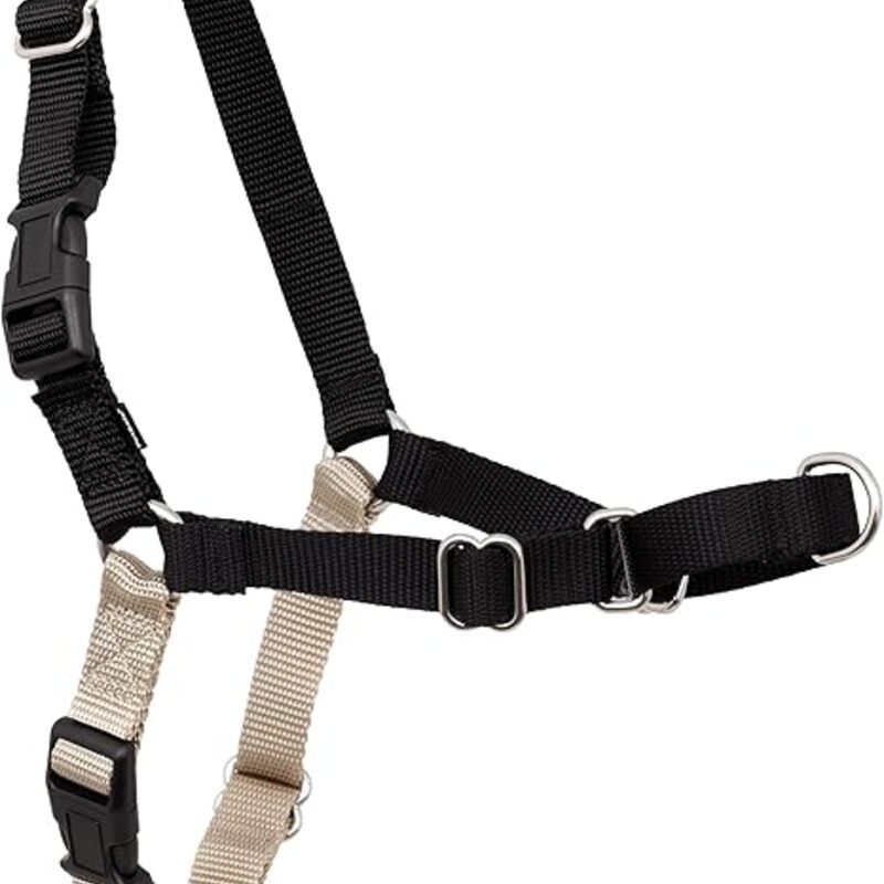 PetSafe Easy Walk No-Pull Dog Harness - The Ultimate Harness