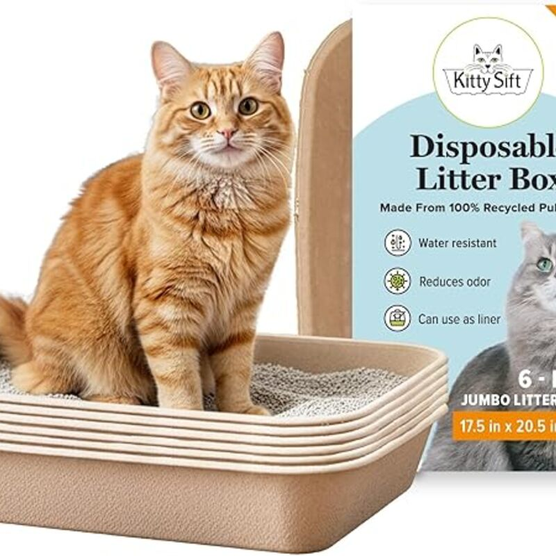 Kitty Sift Disposable Cat Litter Box Jumbo, 6 Count, Durable