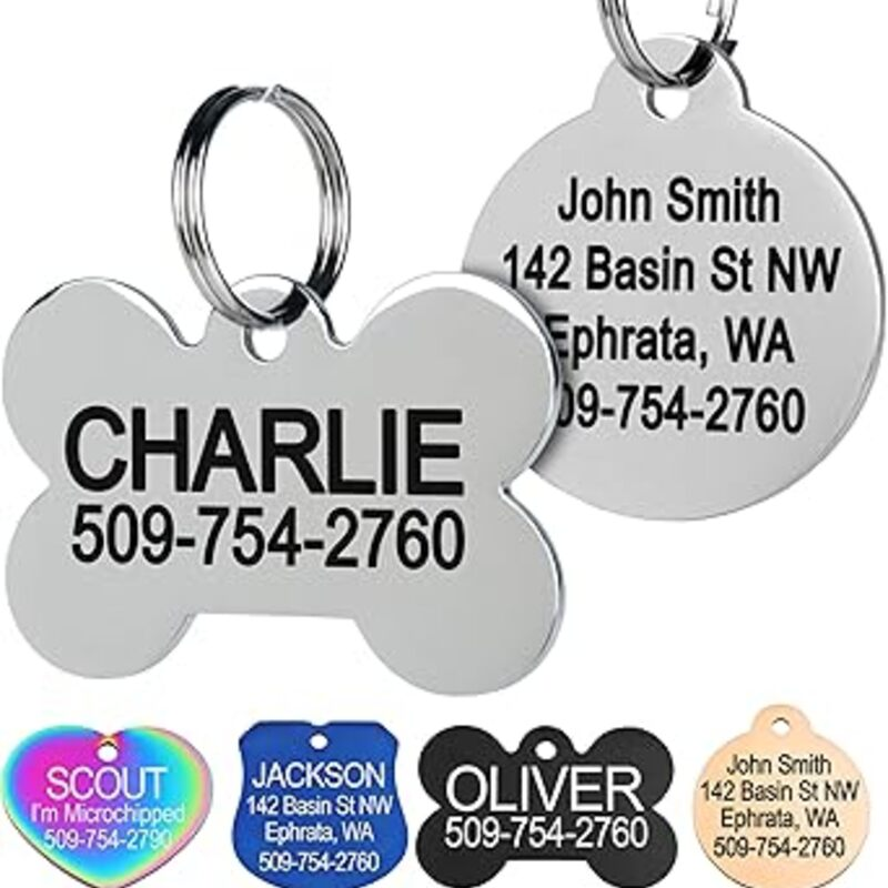 GoTags Stainless Steel Pet ID Tags, Personalized Dog Tags